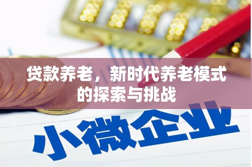 远安贷款养老，新时代养老模式的探索与挑战