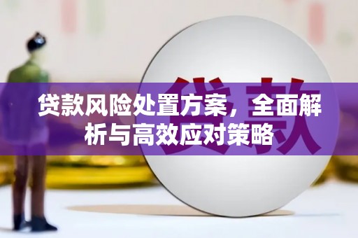 远安贷款风险处置方案，全面解析与高效应对策略