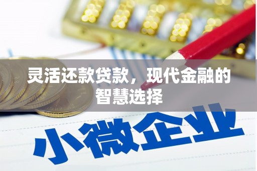 远安灵活还款贷款，现代金融的智慧选择