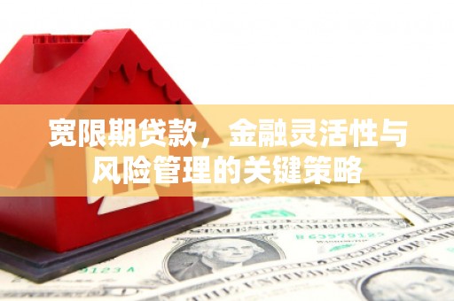 远安宽限期贷款，金融灵活性与风险管理的关键策略