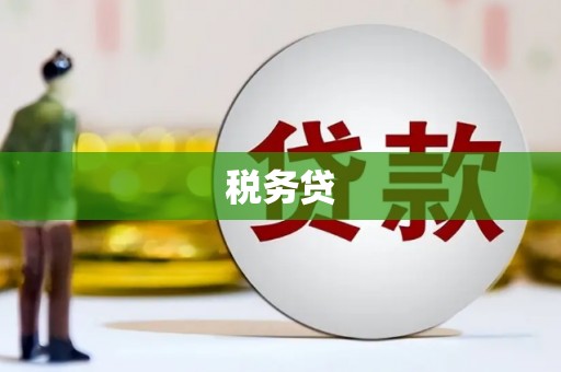 远安税务贷