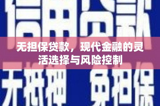 远安无担保贷款，现代金融的灵活选择与风险控制