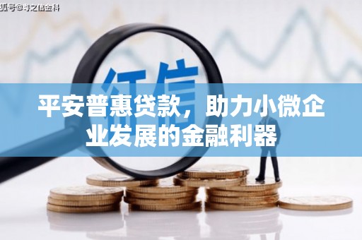 远安平安普惠贷款，助力小微企业发展的金融利器