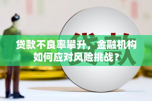 远安贷款不良率攀升，金融机构如何应对风险挑战？