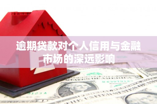 远安逾期贷款对个人信用与金融市场的深远影响