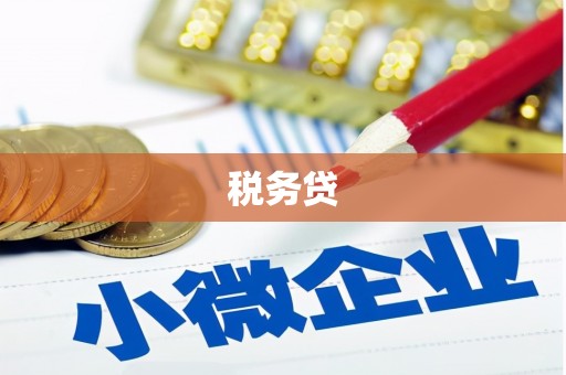 远安税务贷