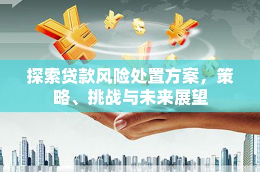 远安探索贷款风险处置方案，策略、挑战与未来展望