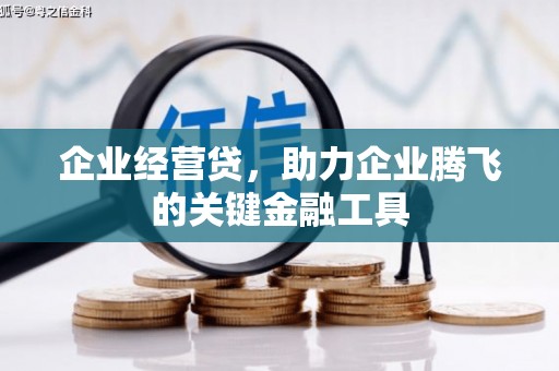 远安企业经营贷，助力企业腾飞的关键金融工具