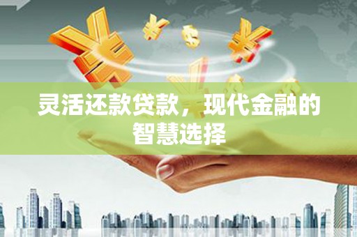 远安灵活还款贷款，现代金融的智慧选择