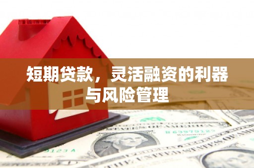 远安短期贷款，灵活融资的利器与风险管理