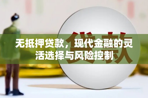 远安无抵押贷款，现代金融的灵活选择与风险控制