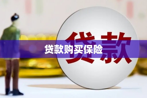远安贷款购买保险