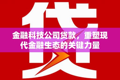 远安金融科技公司贷款，重塑现代金融生态的关键力量