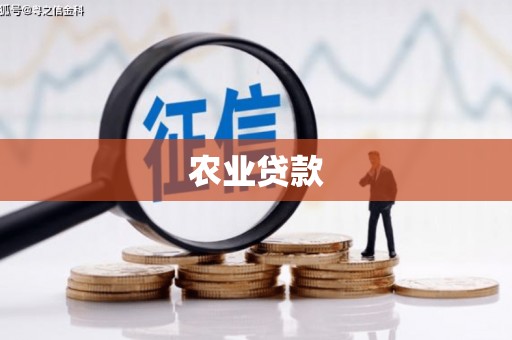 远安农业贷款