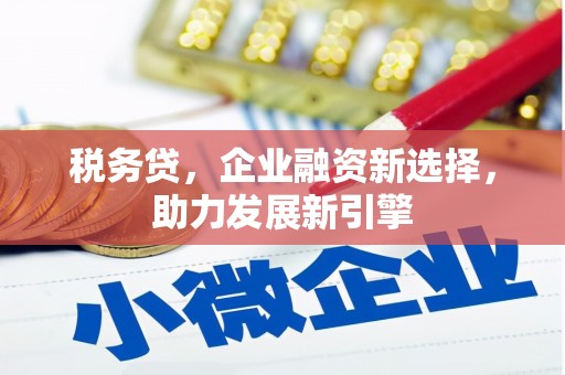 远安税务贷，企业融资新选择，助力发展新引擎