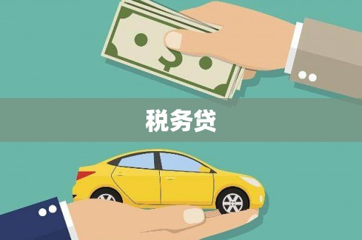 远安税务贷