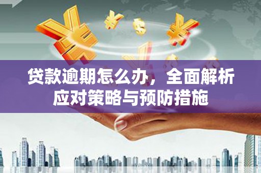 远安贷款逾期怎么办，全面解析应对策略与预防措施