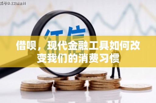 远安借呗，现代金融工具如何改变我们的消费习惯