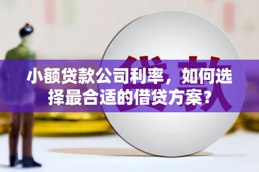 远安小额贷款公司利率，如何选择最合适的借贷方案？