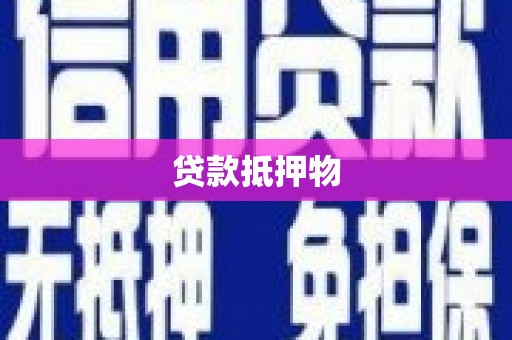 远安贷款抵押物