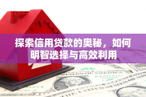 远安探索信用贷款的奥秘，如何明智选择与高效利用