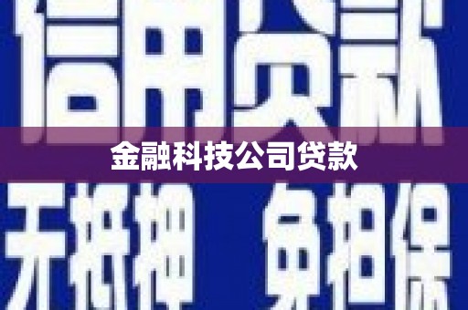 远安金融科技公司贷款