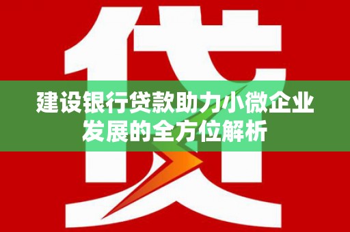 远安建设银行贷款助力小微企业发展的全方位解析