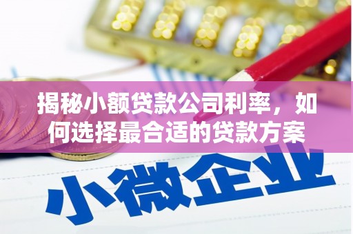 远安揭秘小额贷款公司利率，如何选择最合适的贷款方案