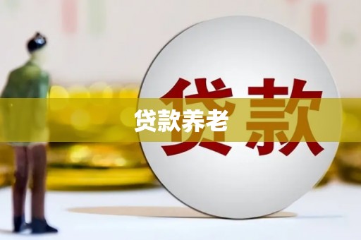 远安贷款养老