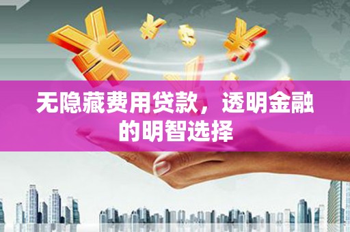 远安无隐藏费用贷款，透明金融的明智选择