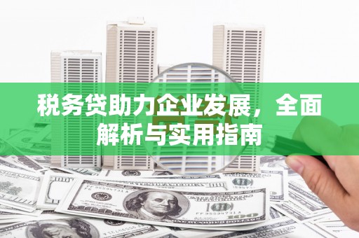 远安税务贷助力企业发展，全面解析与实用指南
