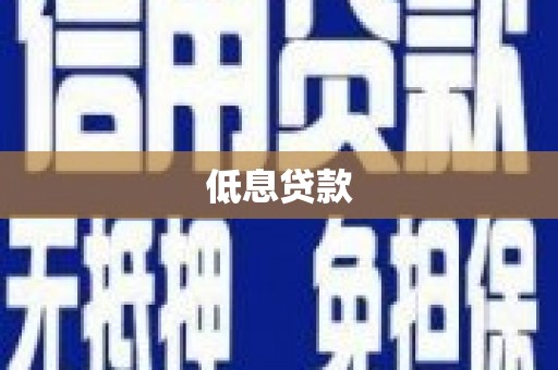 远安低息贷款