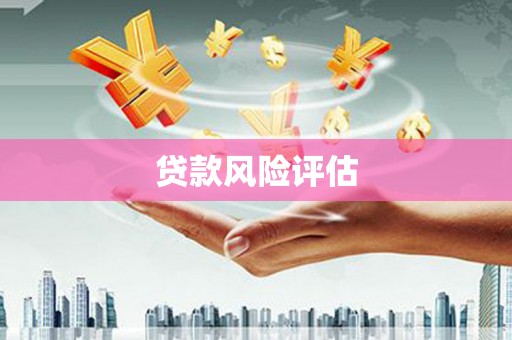 远安贷款风险评估