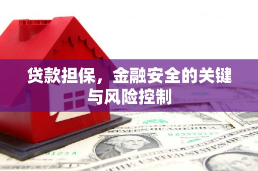 远安贷款担保，金融安全的关键与风险控制
