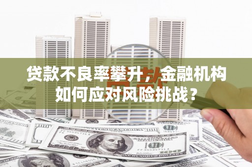 远安贷款不良率攀升，金融机构如何应对风险挑战？