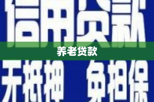 远安养老贷款