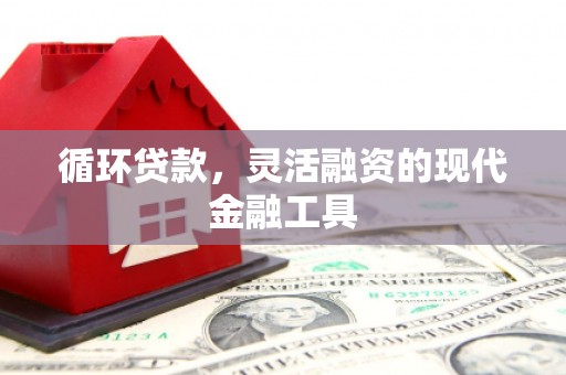远安循环贷款，灵活融资的现代金融工具