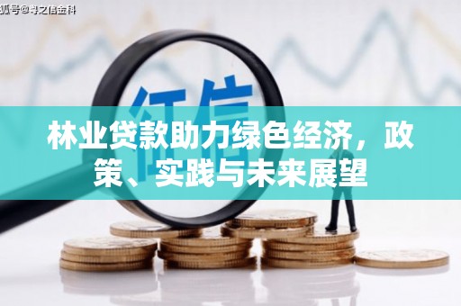 远安林业贷款助力绿色经济，政策、实践与未来展望
