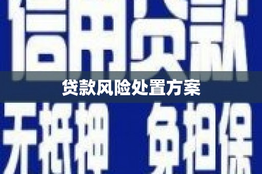 远安贷款风险处置方案