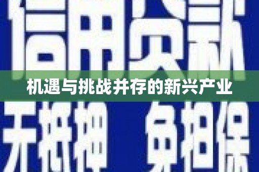 远安机遇与挑战并存的新兴产业